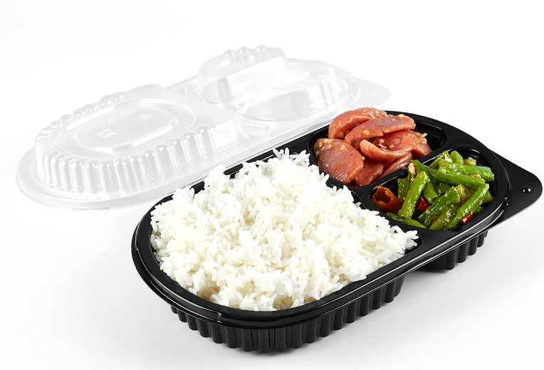 disposable lunch boxes