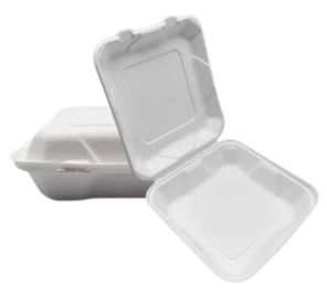 8"-es Bagasse To Go ételtárolók