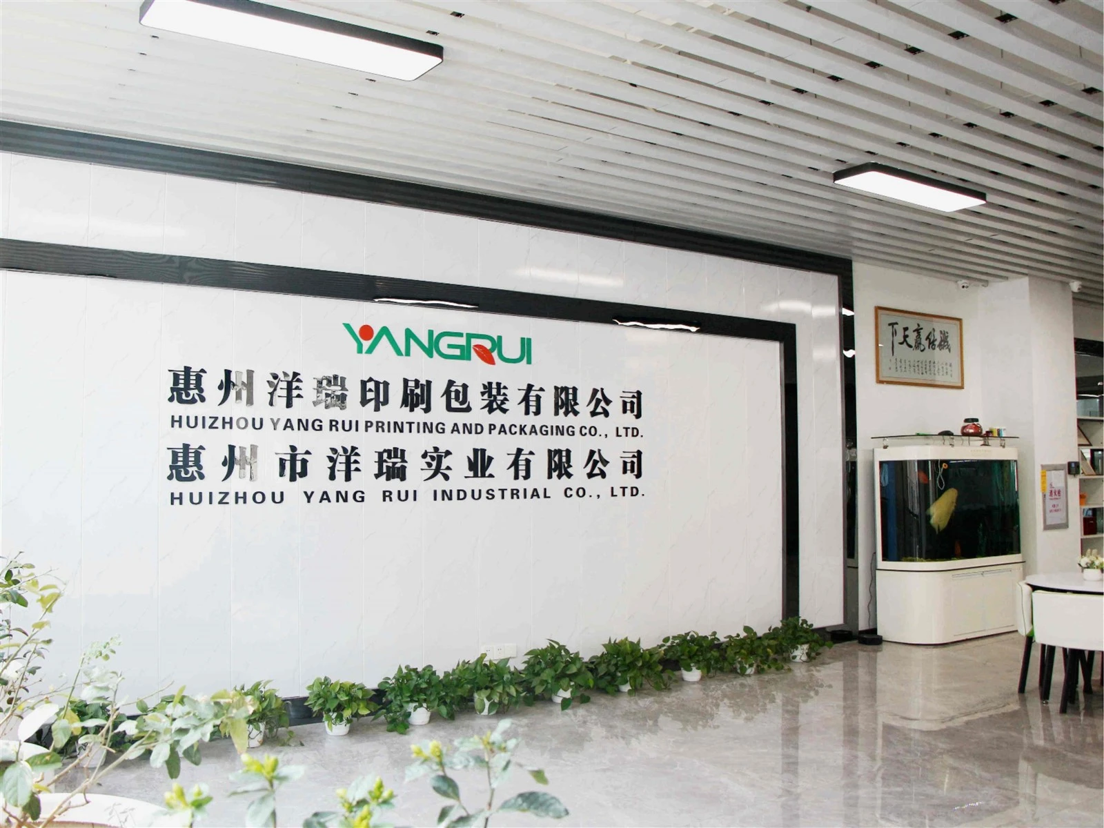 yangrui yangrui