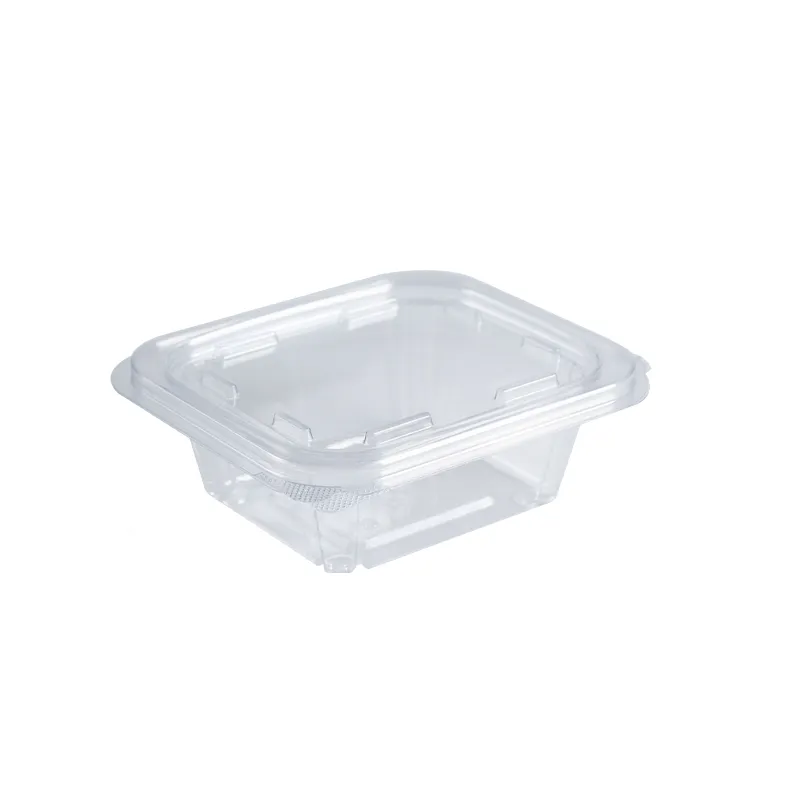 Pet saláta csuklós deli konténer